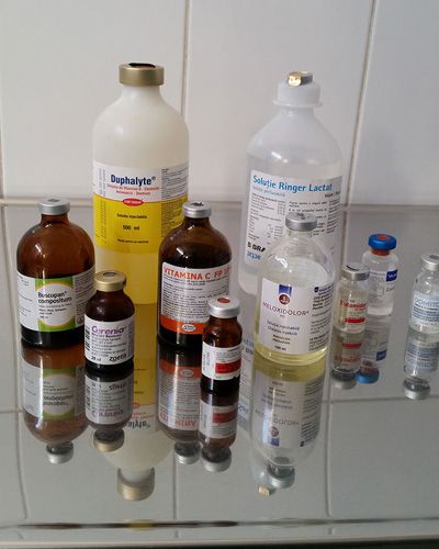 Medicina-Interna-Clinica-Veterinara-BioVet-Poza-3-compressor
