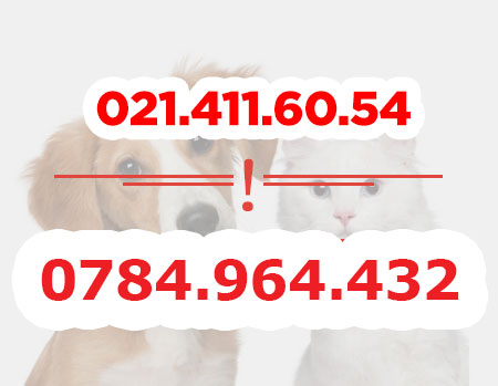 -Contact-Biovet-Impex_2025